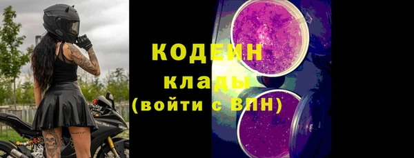 шишки Нея